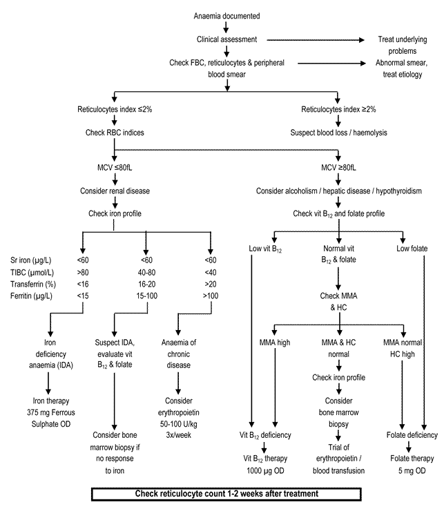 Management of Anaemia
