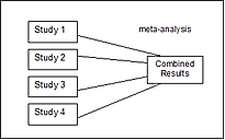  Meta-analysis