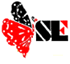 Persatuan SLE Malaysia