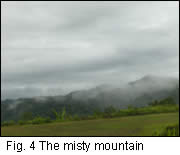 The misty mountain