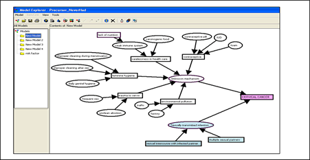 Click to enlarge: Model explorer showing the perceived risk factors of cervical cancer