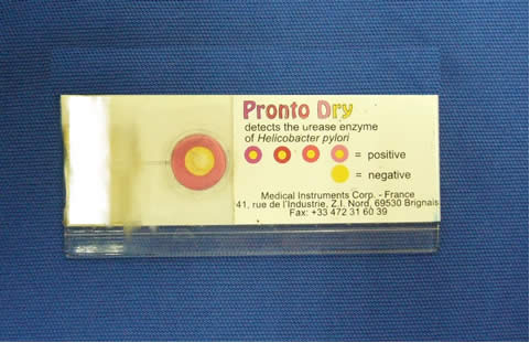 Pronto Dry