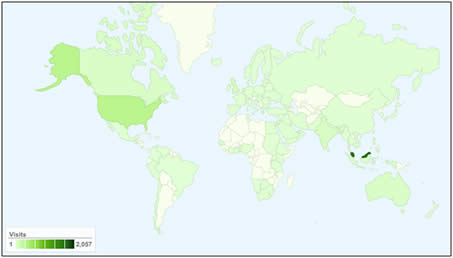 Website visitors map